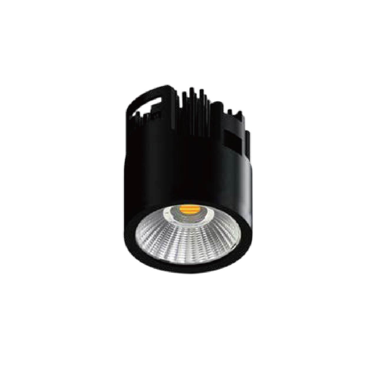 FreePlus Tunable White Module – morelighting